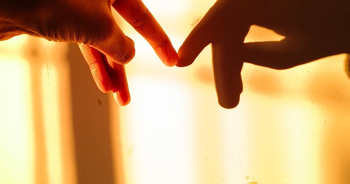 TikTok Beğendiğim Videoları Nasıl Silerim? Beğeni Geçmişi